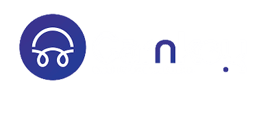 CarNKeyLogo